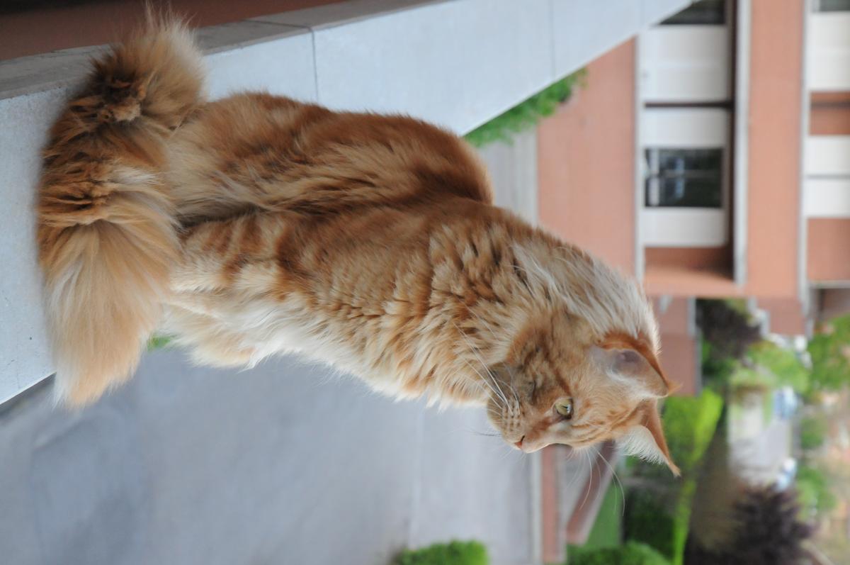 DSC_0692.JPG