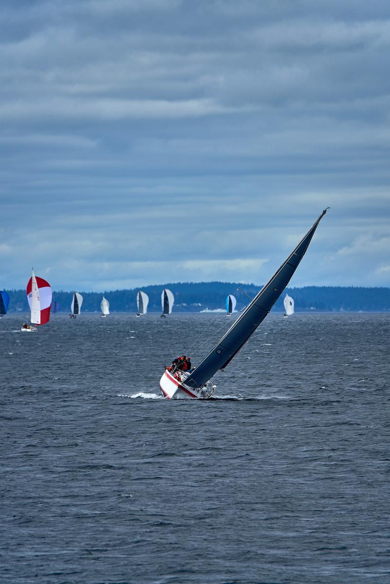 ttp-sail-02-small.jpg