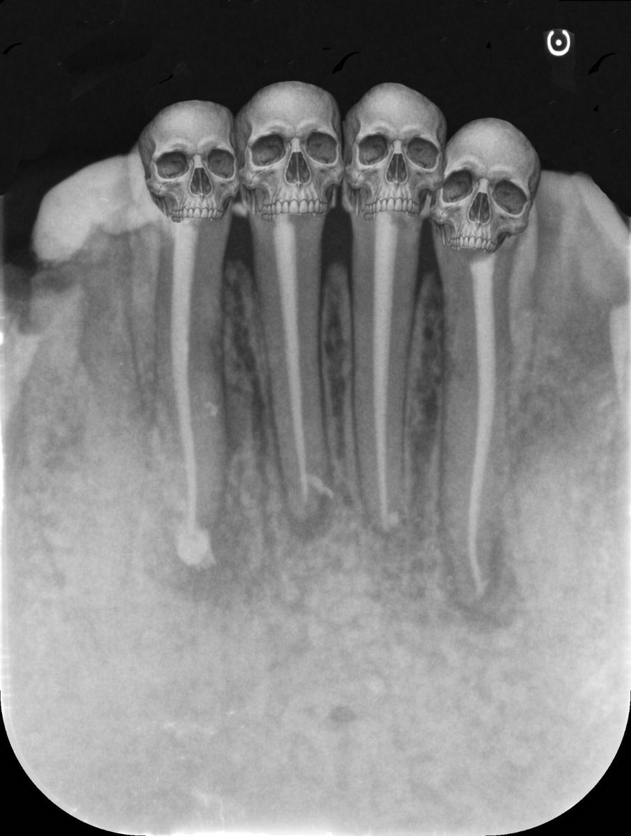 Skulls.jpg