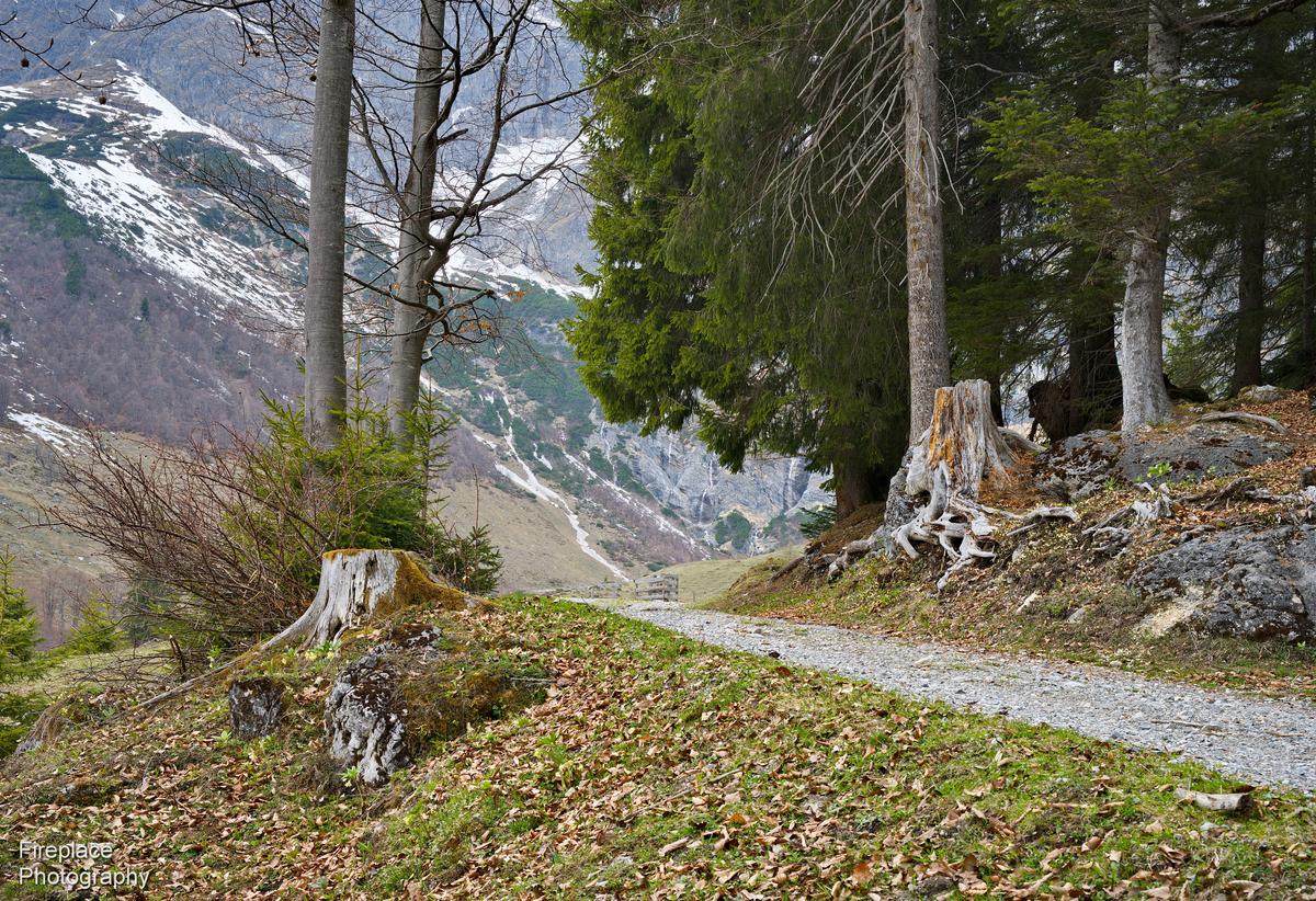 DSC_2902 - Copy smaller.JPG