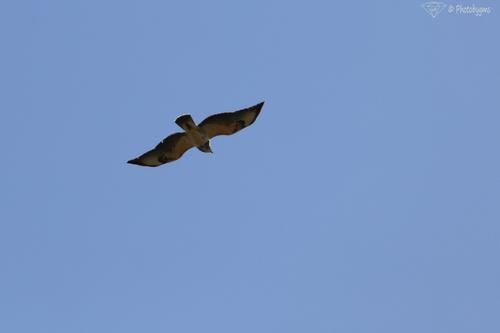 62B_1612.jpg