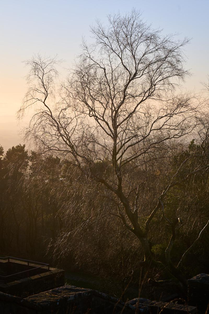 DSC_0487.jpg