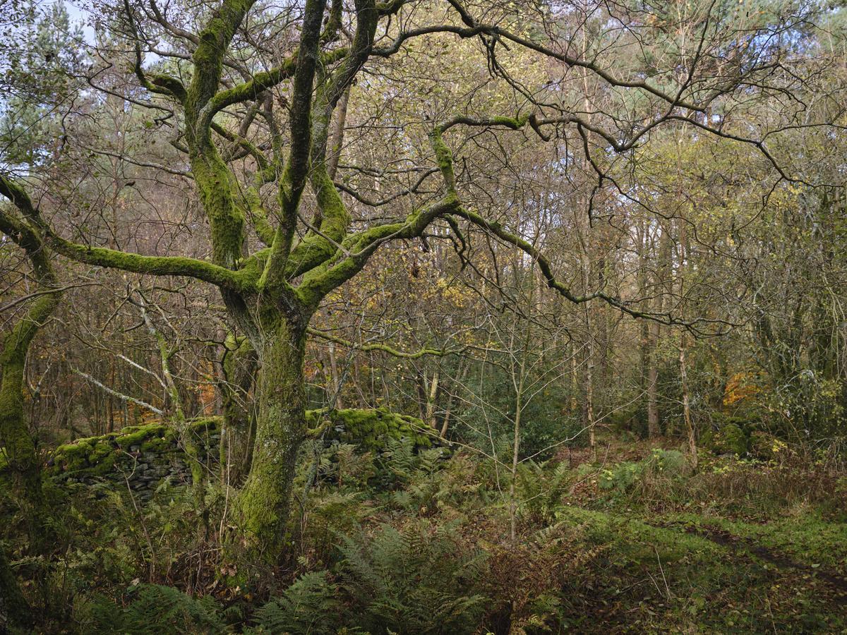 DSCF3884.jpg