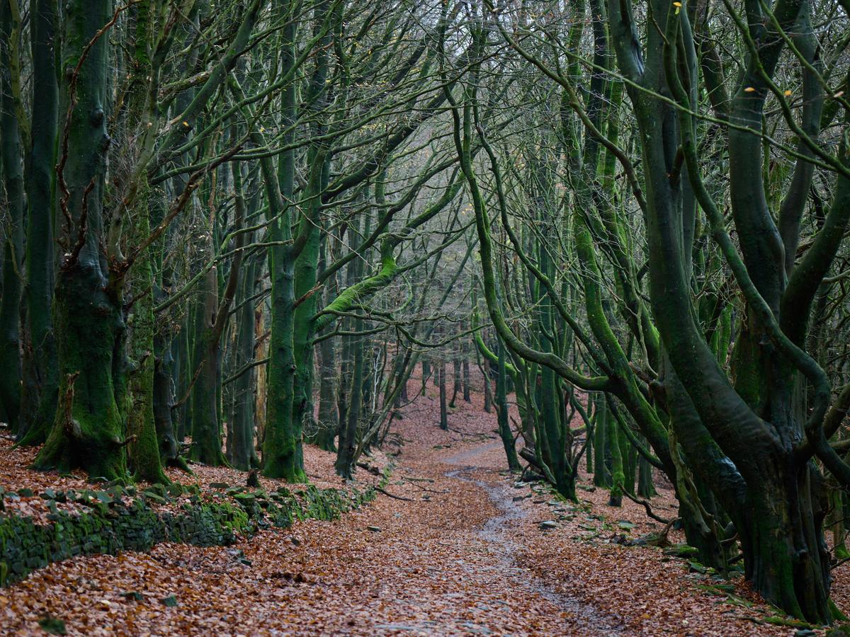 DSC_9173.jpg