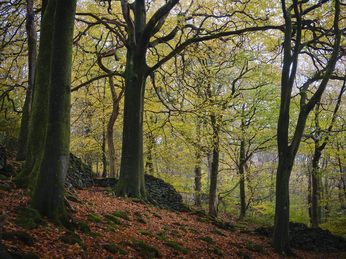 DSCF3684.jpg