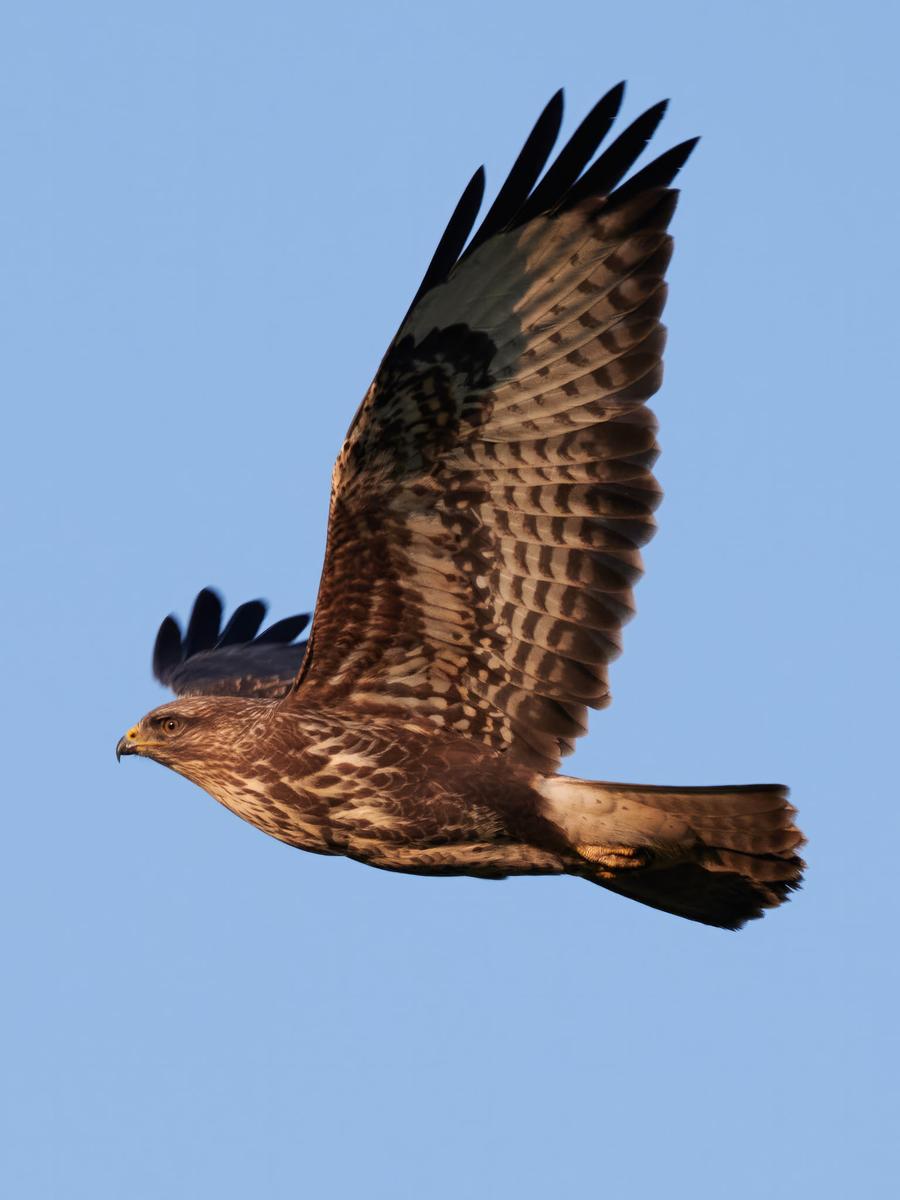 DSC_2876.jpg