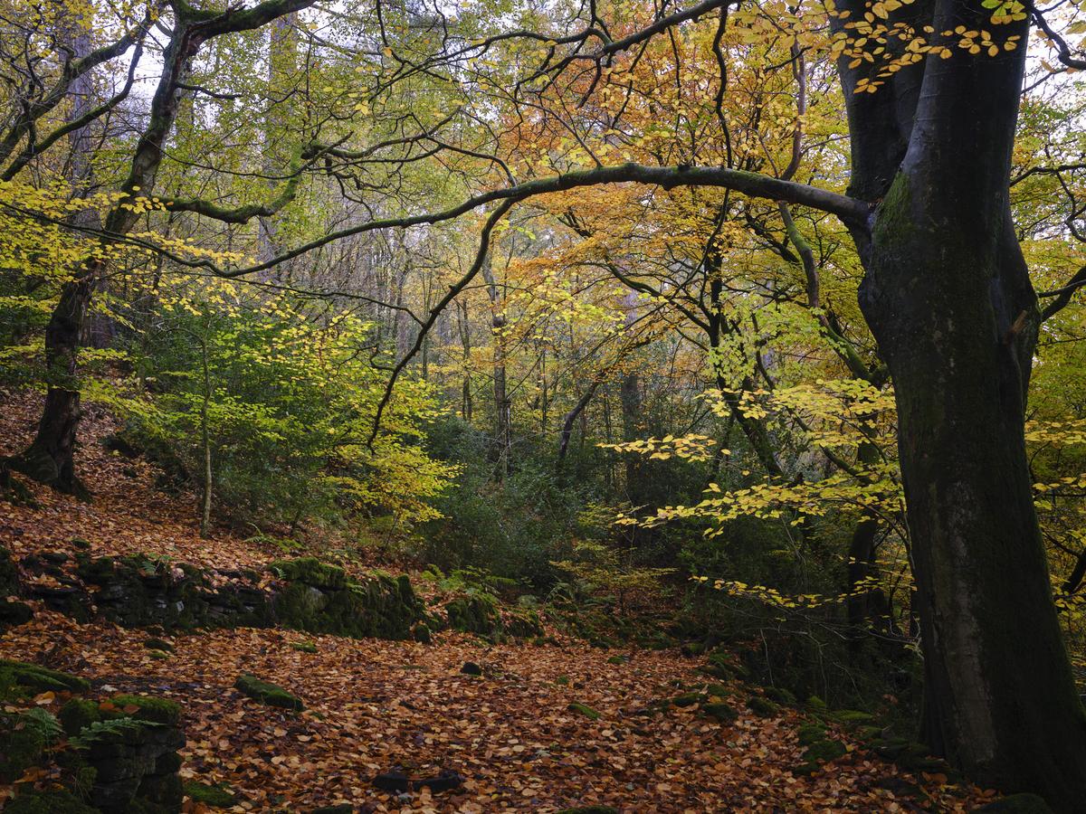 DSCF3629.jpg
