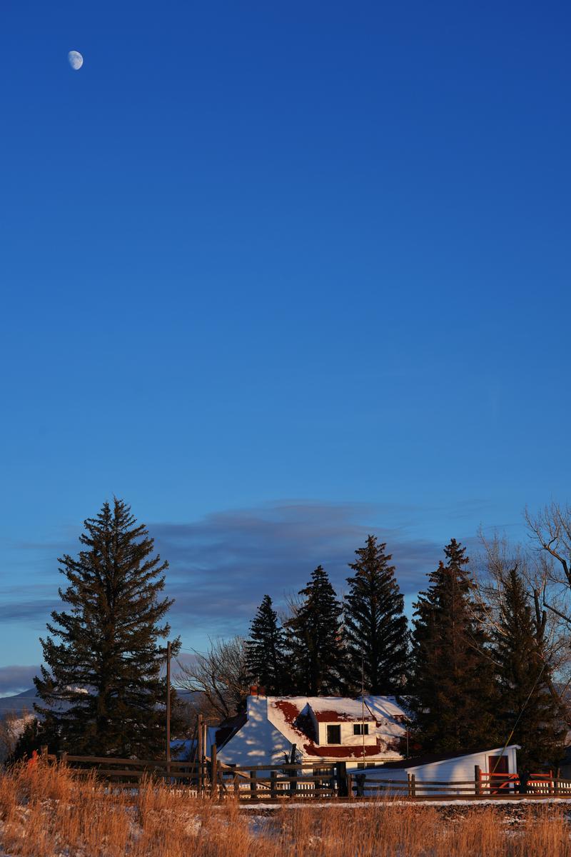 ACR03091.JPG