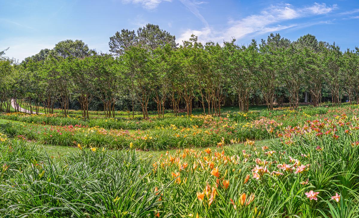 Gibbs Gardens 20260606-1435.jpg