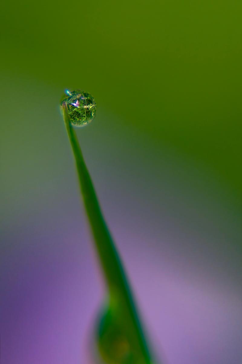 Droplet.jpg