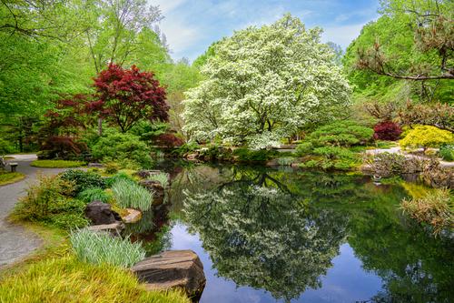 Gibbs Gardens 240420 - 993.jpg