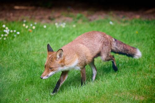 DSC_2187.jpg