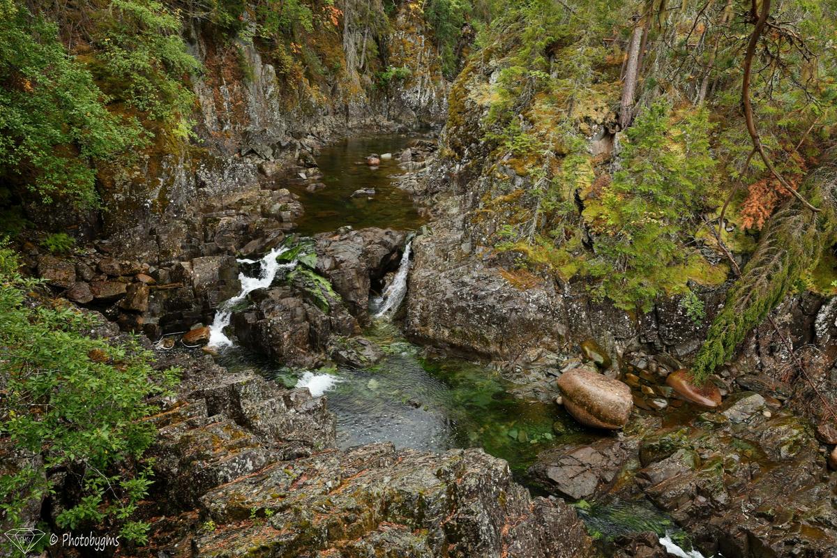 62A_9151.jpg