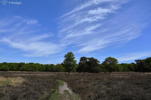 62B_2223.jpg
