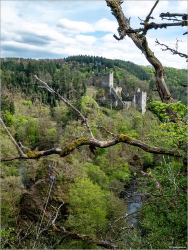 DU-202504-5-P1130459-RoelH-LR13-sRGB.jpg