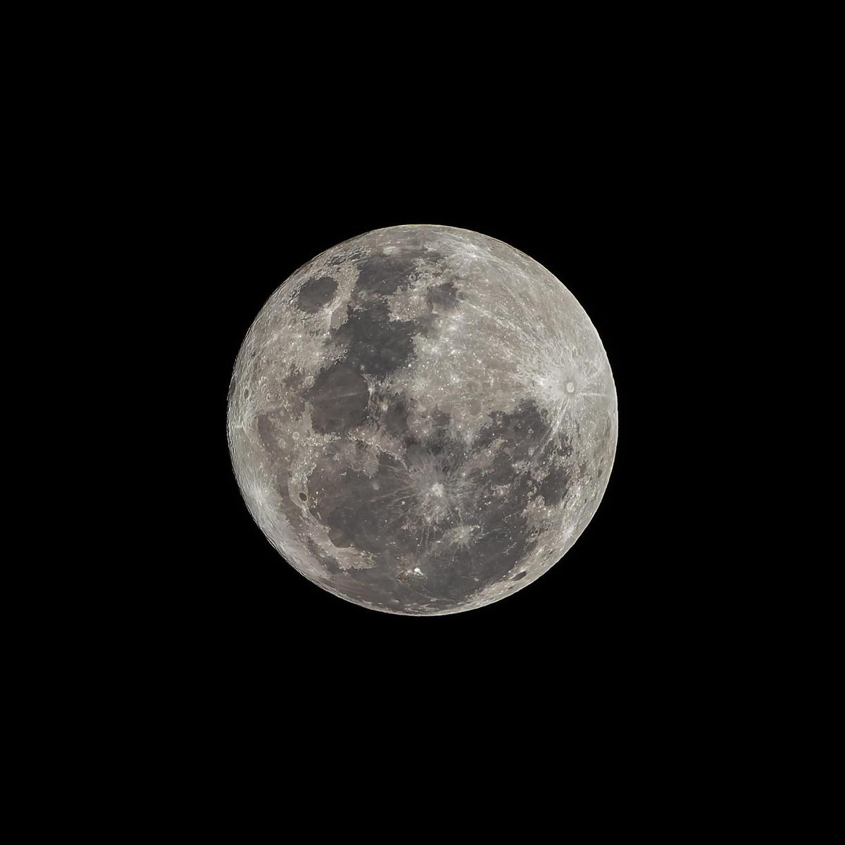 _7RV7820_Small_Blue_Moon.jpg