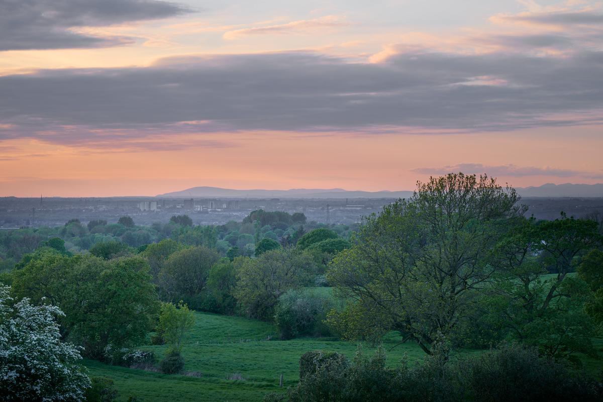 DSC_5219.jpg