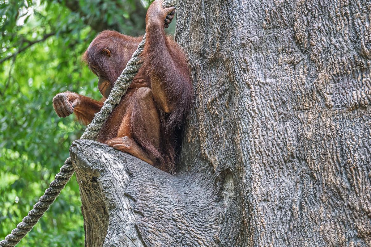Zoo-87.jpg