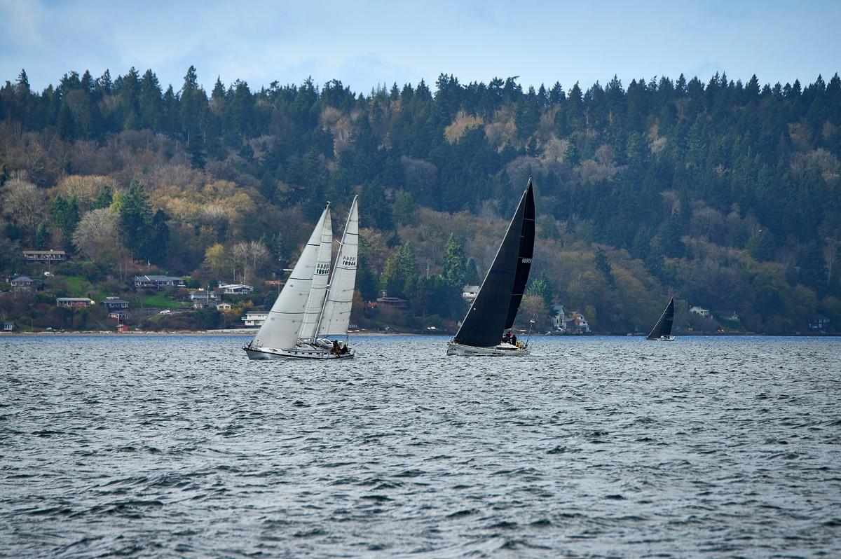 sailboats-08-small.jpg