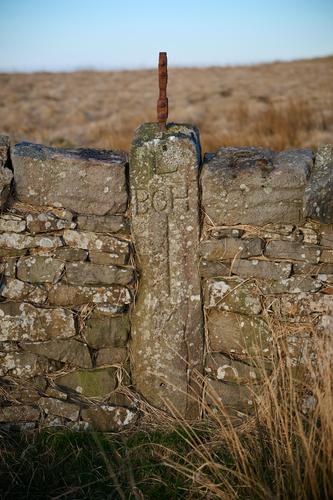 DSC_0666.jpg