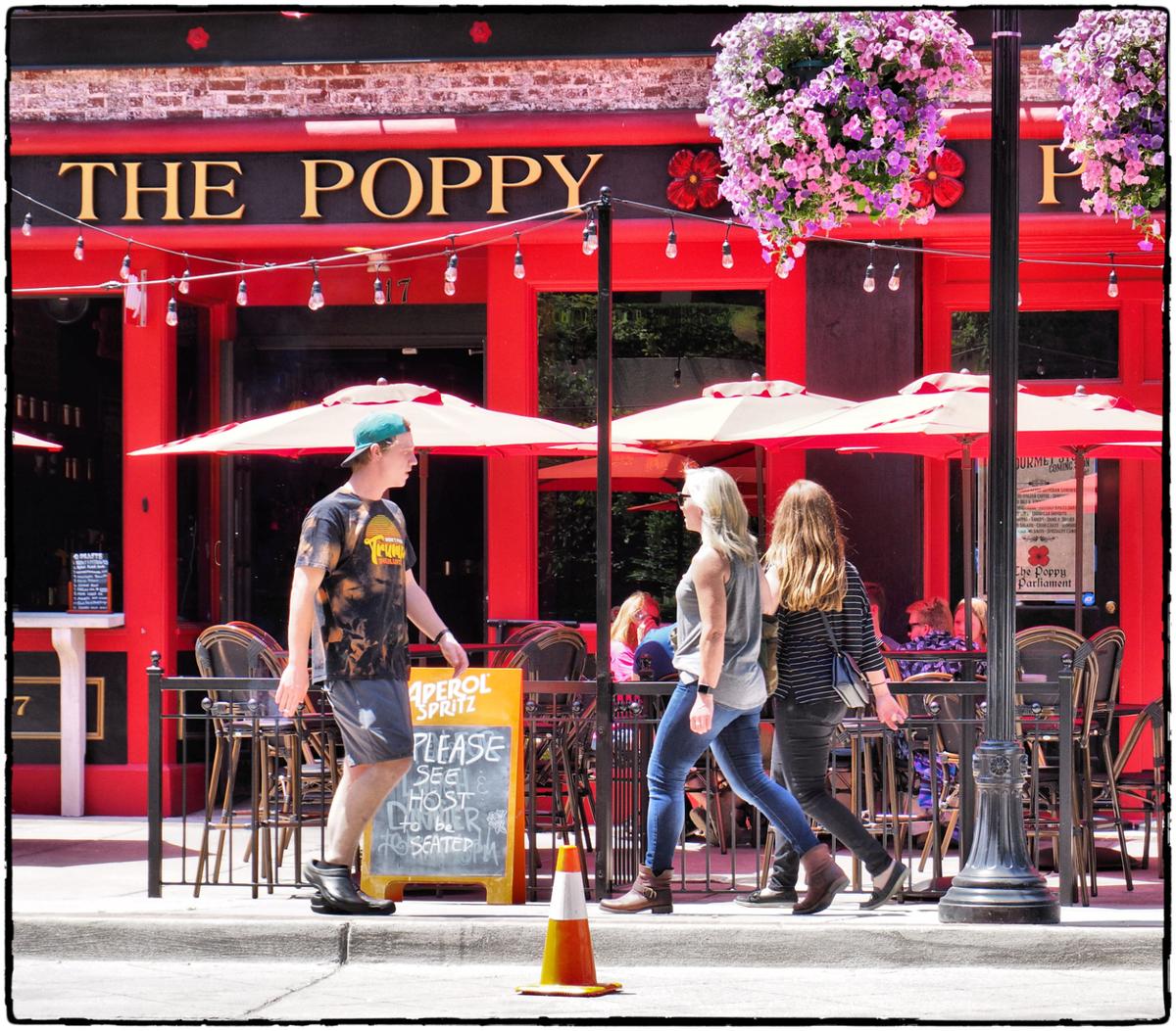 The Poppy.jpg