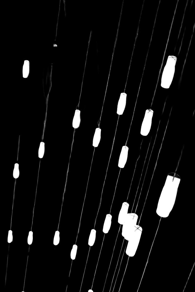 lights.jpg
