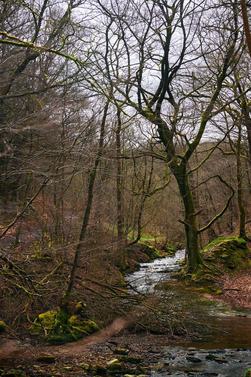 DSC_4599.jpg