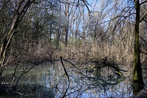 8DS_0546_HDR.jpg