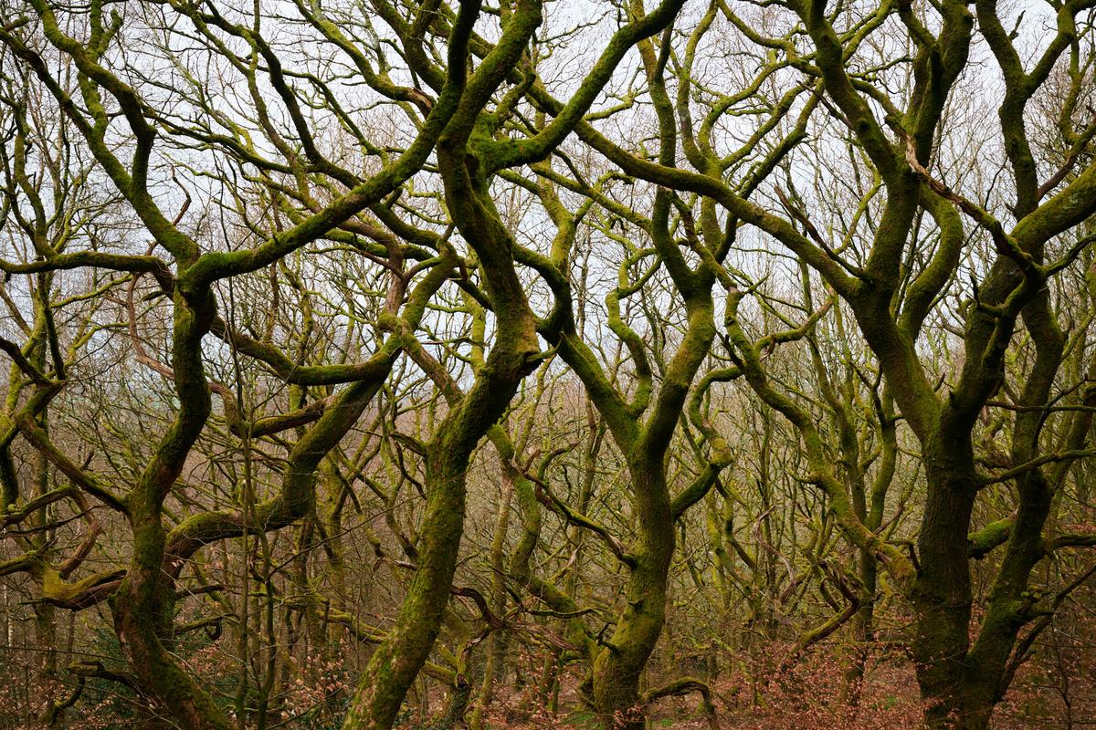 DSC_4589.jpg