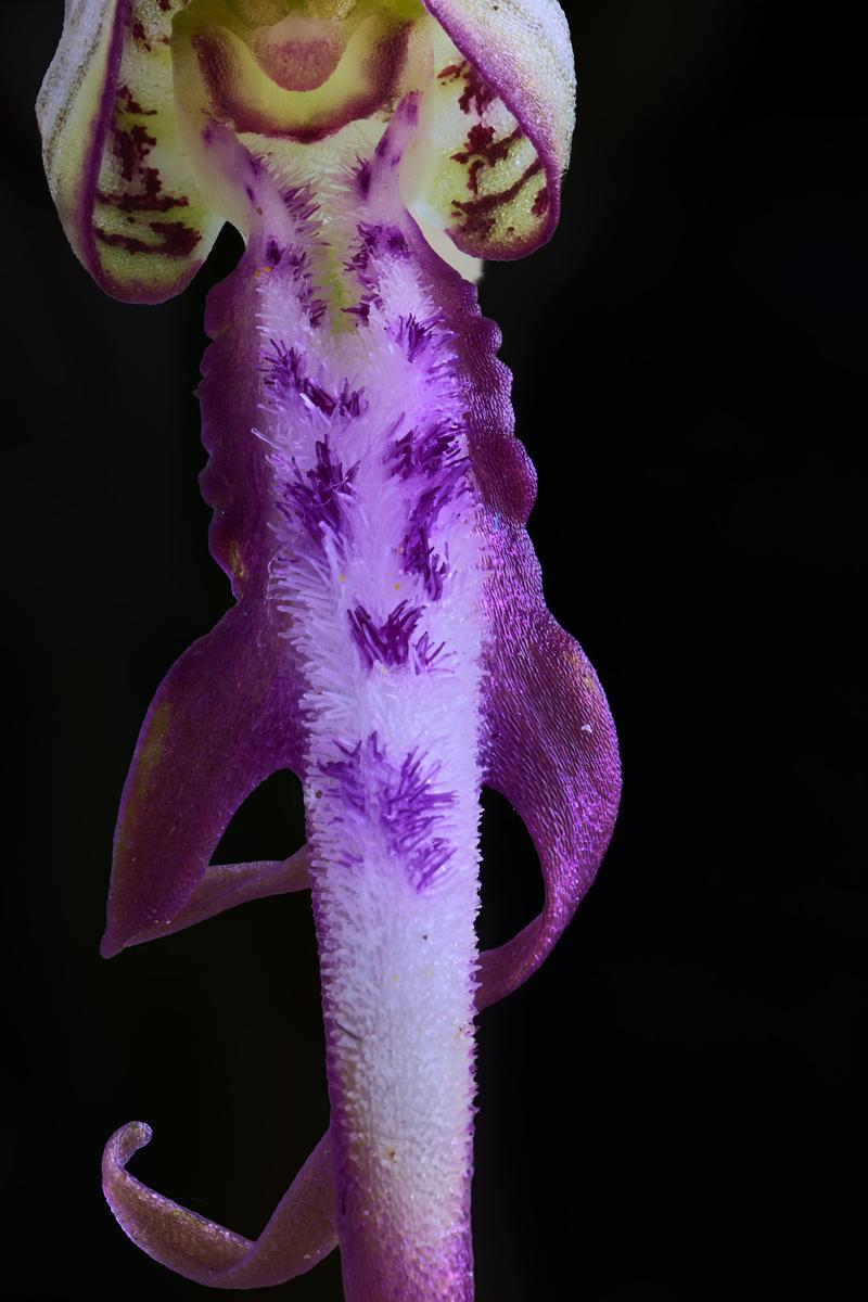 2026-06-02 12-22-17 (C,S1)_3.jpg