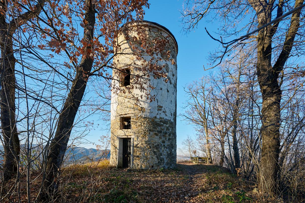 ADS_6704_1.jpg
