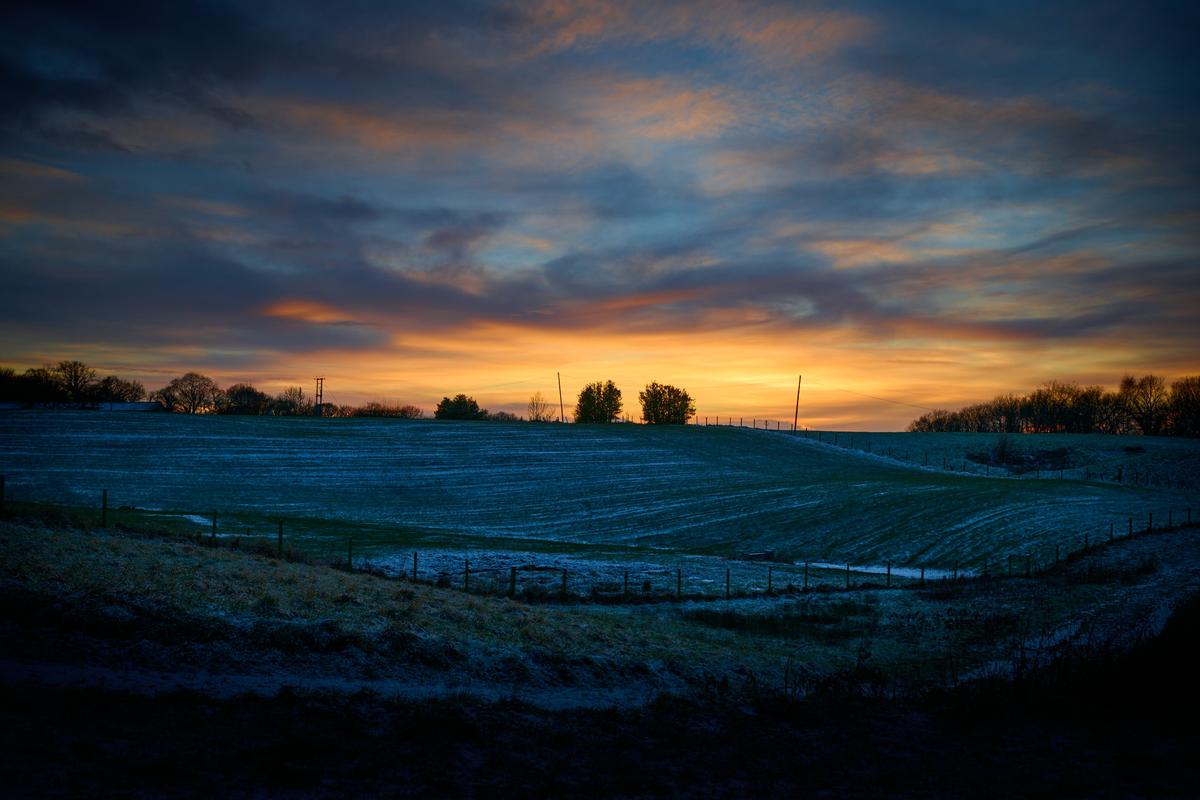 DSC_0979.jpg