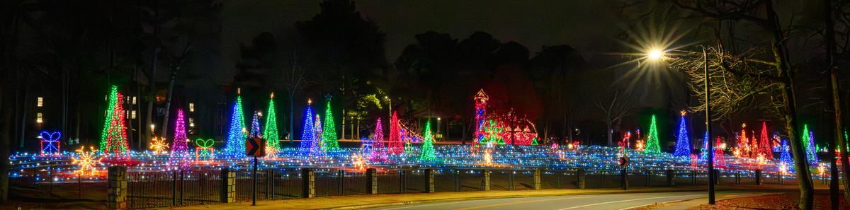 Cristmas Lights 20251226 - 147.jpg