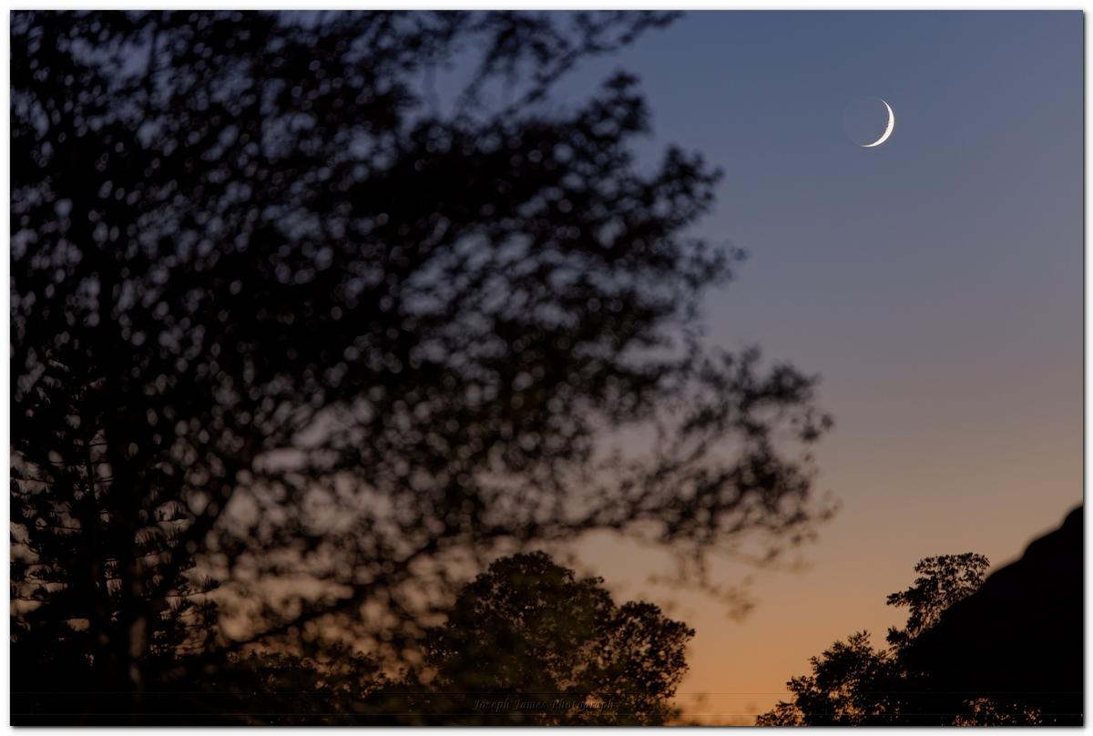 Moon.jpg