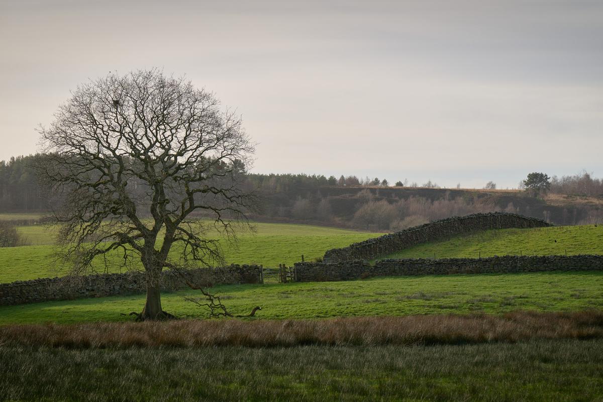 DSC_0090.jpg
