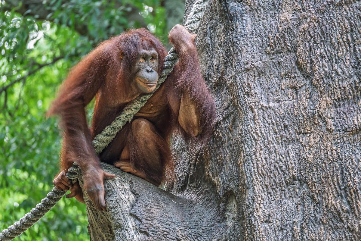Zoo-89.jpg