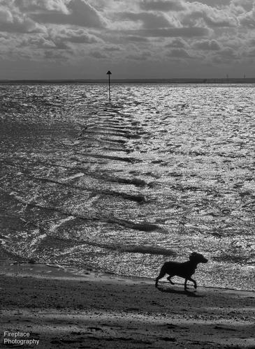 P2110717 - B&W smaller.JPG
