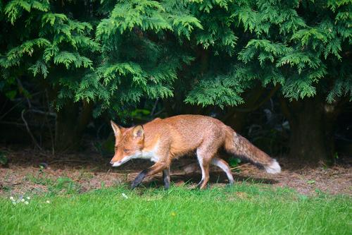 DSC_2143.jpg