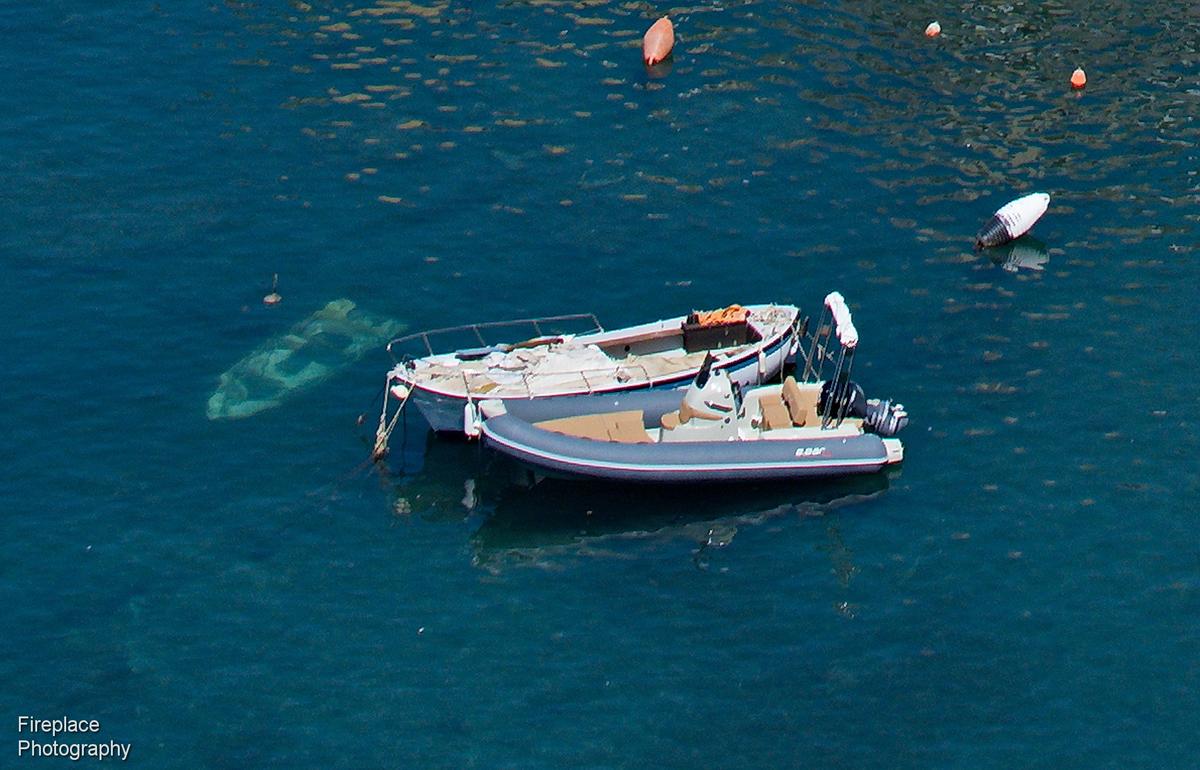 DSC_1559 - crop crop.JPG