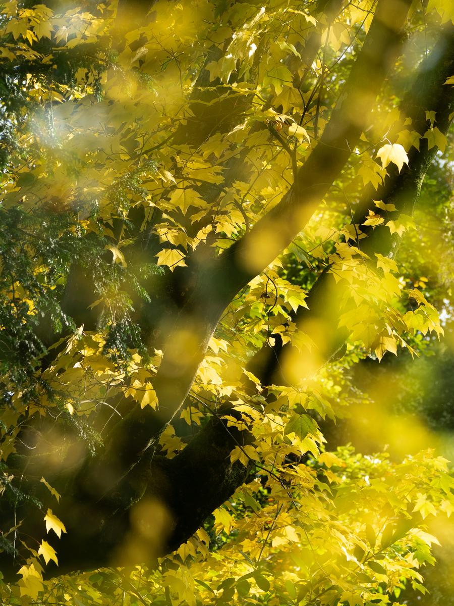 PA205629.jpg