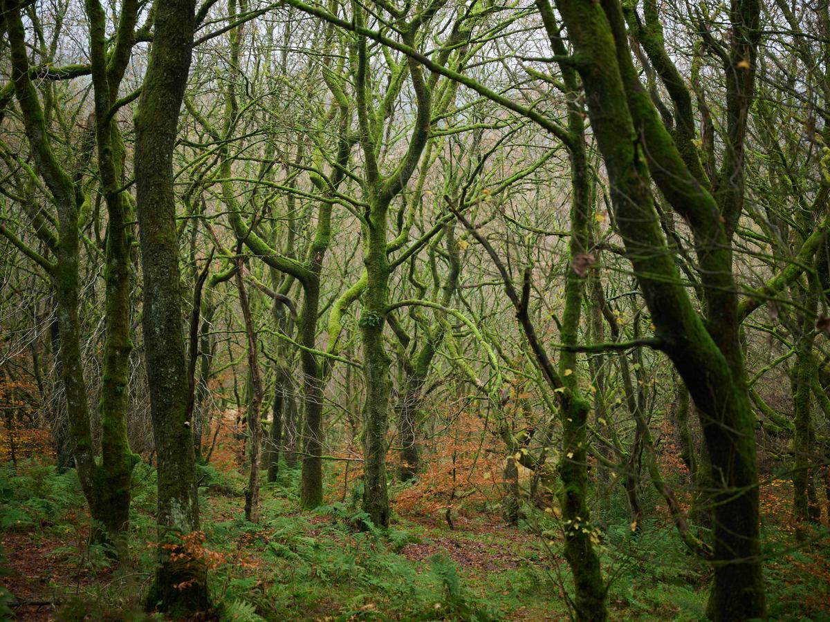DSC_9243.jpg
