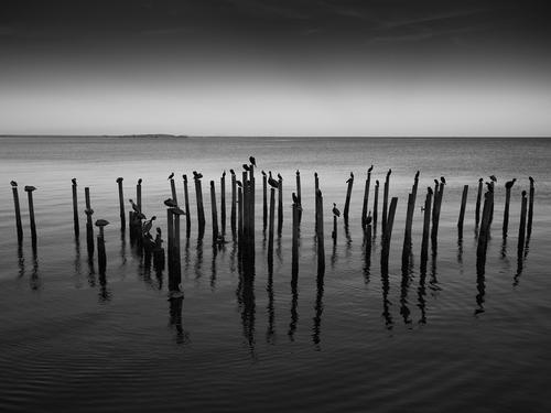 Cedar Key Dock_nz84764-20250318-0214.jpg