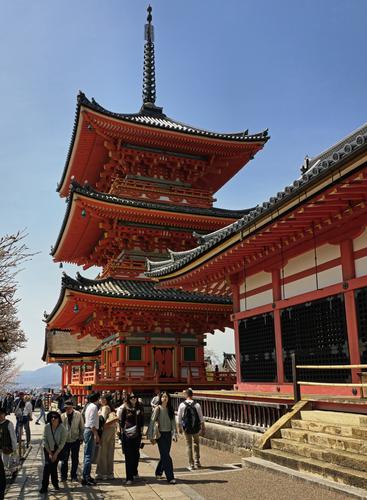 20250409_133346(1).jpg