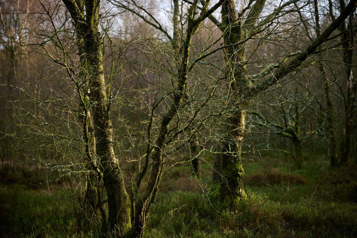 DSC_1292.jpg