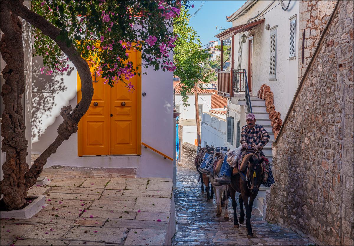 Hydra. Donkey transport.jpg