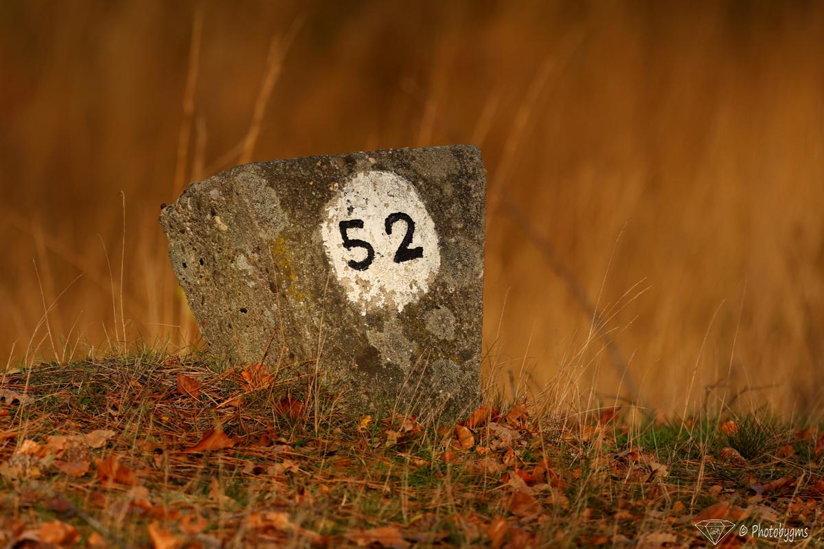 62A_6465.jpg