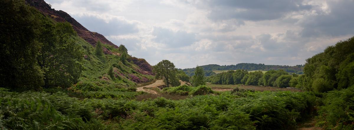 DSCF3283.jpg