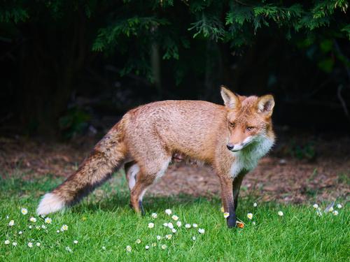 DSC_2176.jpg