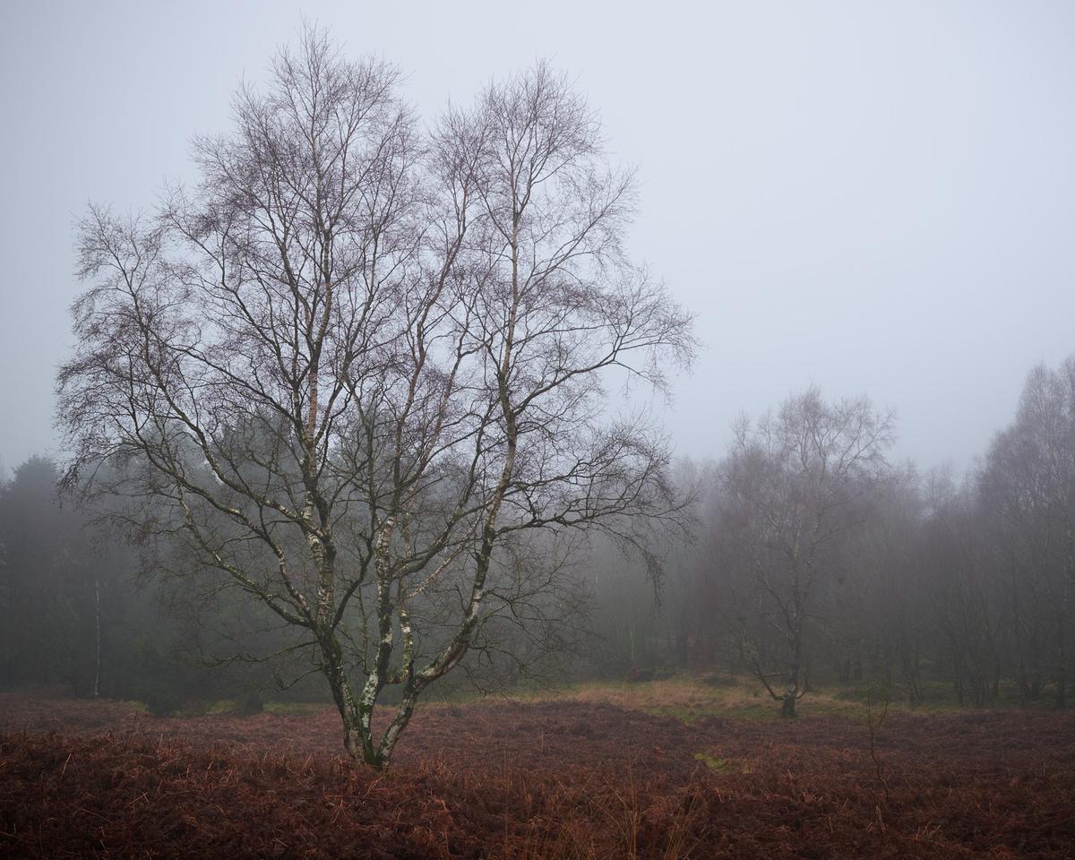 DSC_1462.jpg
