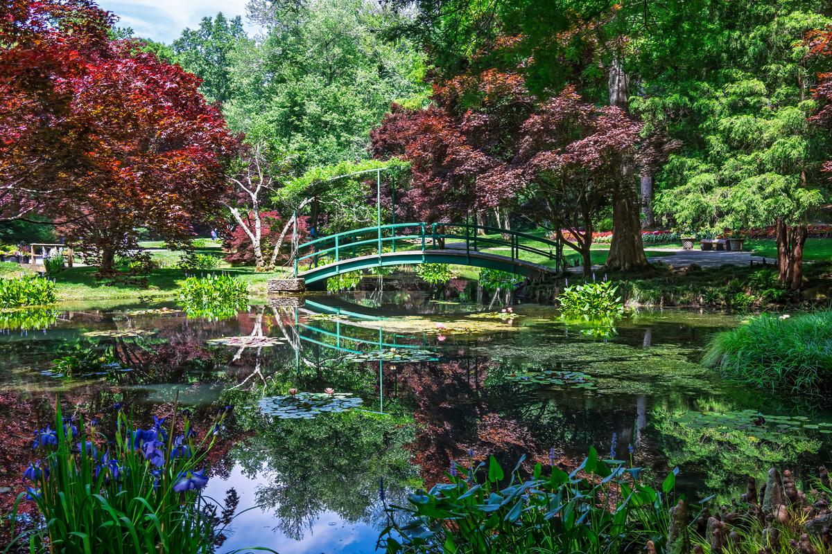 Gibbs Gardens 20260606-1449.jpg